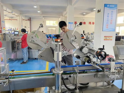 金嘉成工廠 邁向碳達峰與碳中和的節能減排實踐與技術咨詢